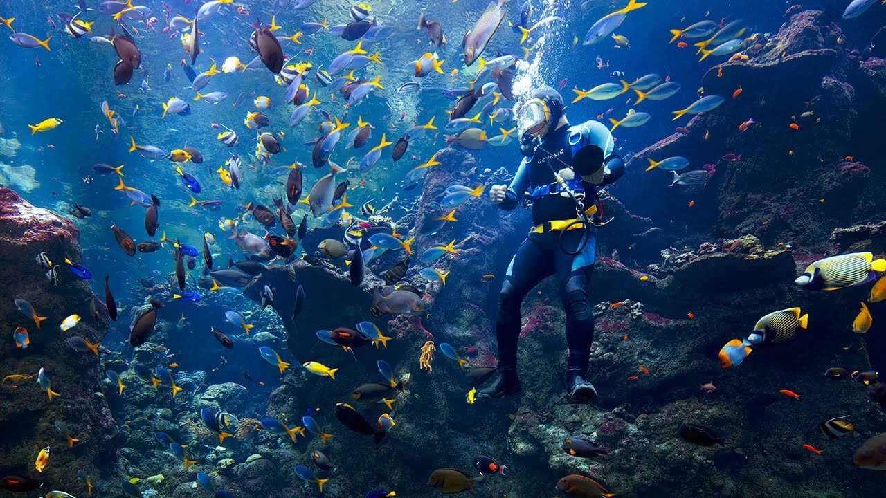 California Academy of Sciences